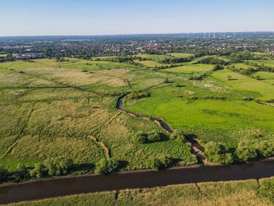 Blick auf die Wiesen der Ilmenau-Luhe-Niederung