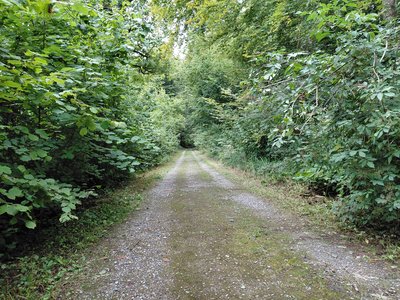 Unterhaltsstrasse