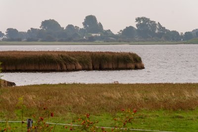 Naturschutzgebiet Fauler See - Rustwerder/Poel, FFH-Gebiet Wismarbucht, Vogelschutzgebiet Wismarbucht und Salzhaff, Poel