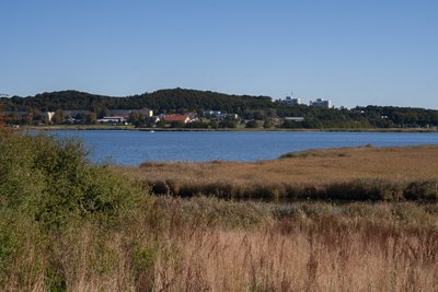 Rügen, Naturschutzgebiet, FFH-Gebiet, Landschaftsschutzgebiet, EU-Vogelschutzgebiet, Biosphärenreservat