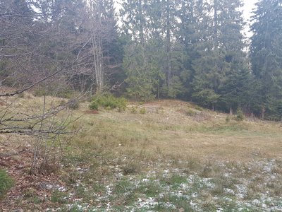 Moor, Bernau