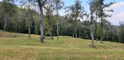 Summerhalden