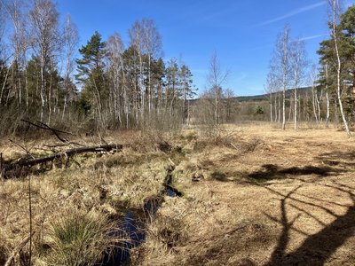 NSG Arracher Moor