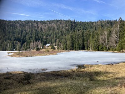 NSG kl. Arbersee