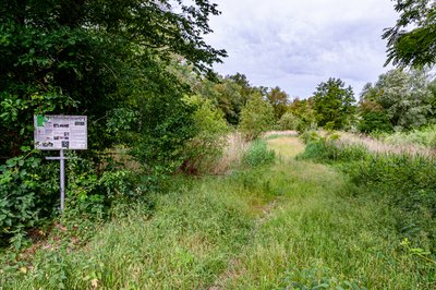The Jockgrim clay pits nature reserve.