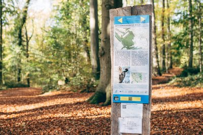 Information board Königsdorfer Forst