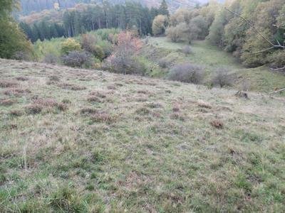 Offenland Altenfils vorne gehört zum Naturschutzgebiet An der Rösenbecker Burg; Wald links gehört zu LSG.