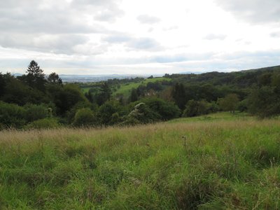 View over the orchard meadows