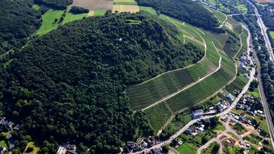 Landskrone, Bad Neuenahr-Ahrweiler: Luftaufnahme (2016)