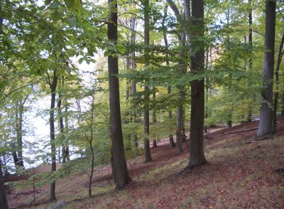 Conower Werder, Mecklenburg-Vorpommern.