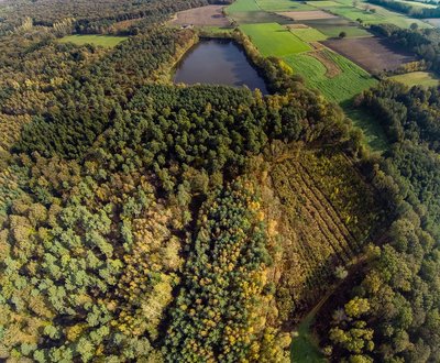 Südwestlicher Teil der Davert in der Sendener Gemarkung Ottmarsbocholt, Bereich Kreuzbauerschaft; Waldbereiche mit Saalmanns Teich im Naturschutzgebiet „Davert“ (NSG COE-023)