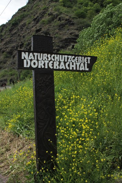 Naturschutzgebiet Dortebachtal