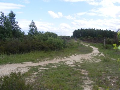 Drover Heide
