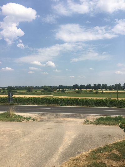 Erweiterung Laubenheimer-Bodenheimer Ried