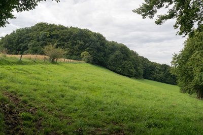 Naturschutzgebiet "Rinnenberg", Extertal, Kreis Lippe