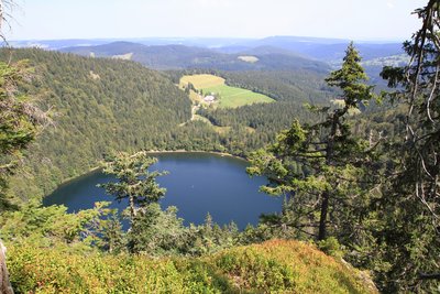 Feldsee