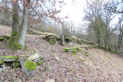 Naturschutzgebiet In der Held bei Hüttingen (Dezember 2017)