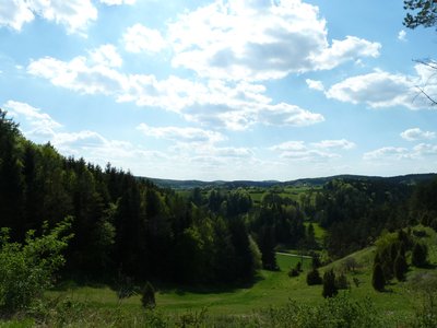 Hochholz