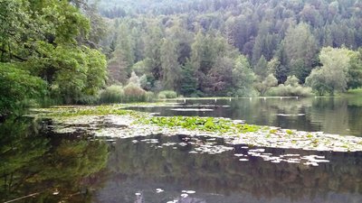 Lago di Cei
