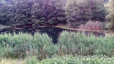 Lago di Cei