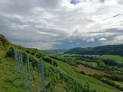 Taubertal