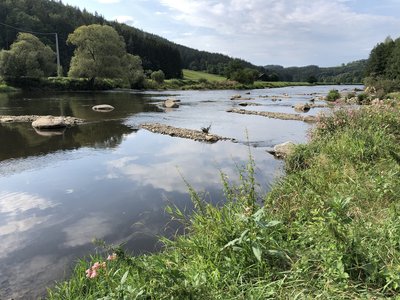 Der Fluss Regen