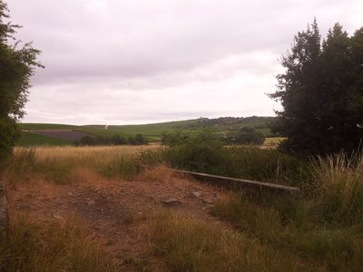 Naturschutzgebiet Im Briehl/Schafwiese