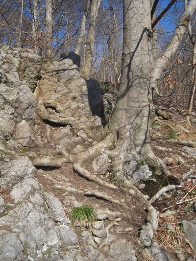 Naturschutzgebiet Sonderhorst in Iserlohn.