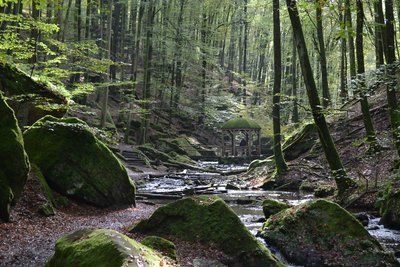 Moosalbe und Pavillon im Naturschutzgebiet „Karlstalschlucht“: Karlstal der Moosalb bei Trippstadt (Rheinland-Pfalz, Deutschland)
