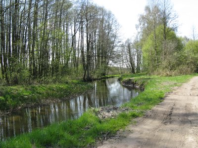 Gehlsbach in der Gemeinde Siggelkow