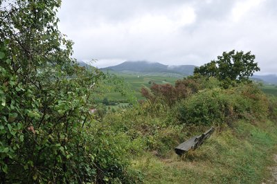 Naturschutzgebiet Kleine Kalmit im Pfälzerwald