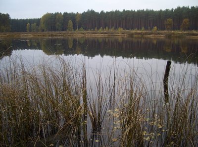 Naturschutzgebiet Kulowseen.