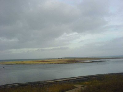 Vogelinsel Langenwerder