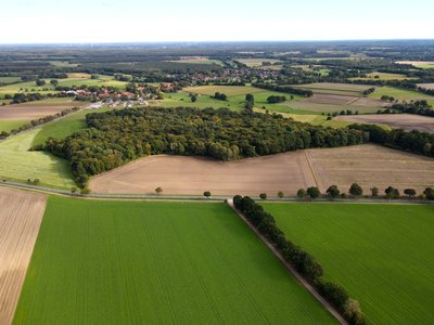Naturschutzgebiet Laßbrook aus der Vogelperspektive