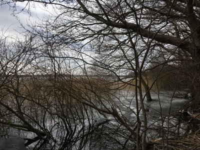 Mechower See