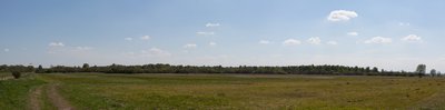 Naturschutzgebiet Nummer 93 im Kreis Mecklenburgische Seenplatte: Landgrabenwiesen bei Werder (nördlicher Teil)