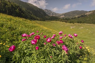 Monte Baldo di Brentonico
