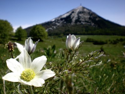 Monte Bondone (Foto Andrea Sgarbossa)
