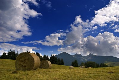 Monte Bondone (Foto Franco Visintainer)