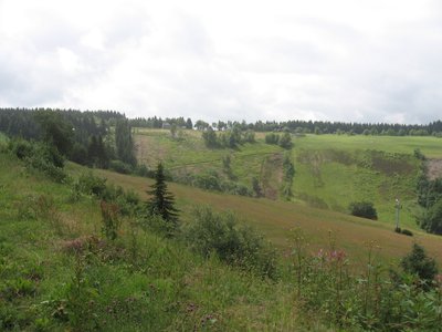 Naturschutzgebiet Bergwiesen bei Altastenberg, Blick vom Parkplatz des Westfalenhangs nach Süden