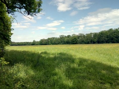 Wiesen am Otterbach östlich von Kandel