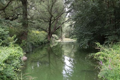 Naturschutzgebiet Ediger Laach