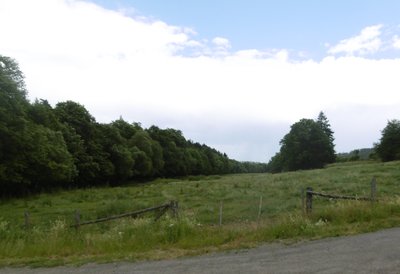 Naturschutzgebiet Gelängebachtal​ südlich Weg nach Medebach; bei linken Baubestand verläuft der Bach.