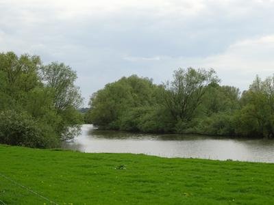 Rees-Grietherbusch (LSG-Rheinufer). Aussicht auf Naturschutzgebiet Grietherorter Altrhein