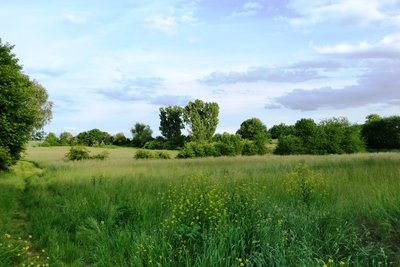 Naturschutzgebiet Im Flößrich-Gänsklauer (Mai 2015)