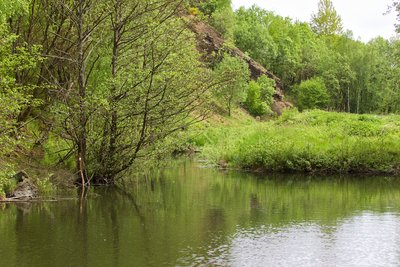 Hasselichskopf quarry nature reserve (May 2016)