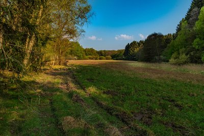 The Struth nature reserve in the Rhine-Hunsrück