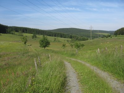 Naturschutzgebiet „Namenlose-Talsystem“ vom östlichen Ende gesehen; Winterberg. 110-kV-Freileitung Heringhausen–Winterberg (Bl. 1611).