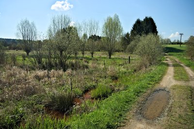 Naturschutzgebiet Holzbachtal (Mai 2016)