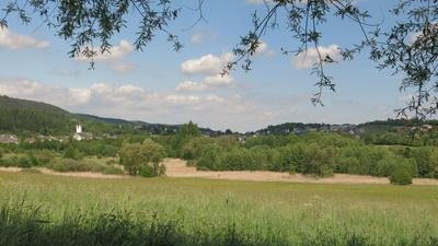 Föhrener Ried (May 2019)